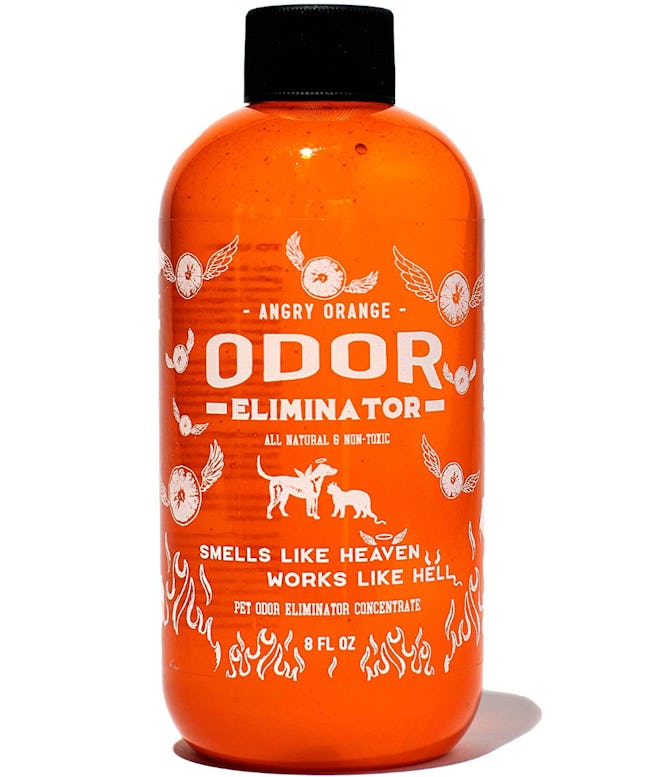 Angry Orange Pet Odor Eliminator Concentrate, 8 Oz. (Makes A Gallon)