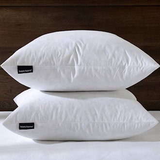 basic home Decorative Feather Pillow Throw Inserts