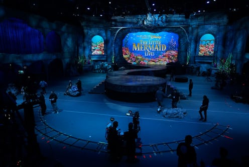 Disney's The Little Mermaid Live! on ABC