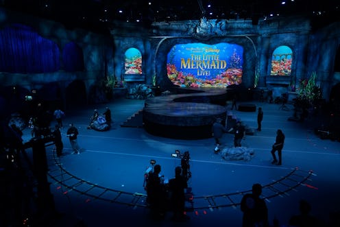 Disney's The Little Mermaid Live! on ABC