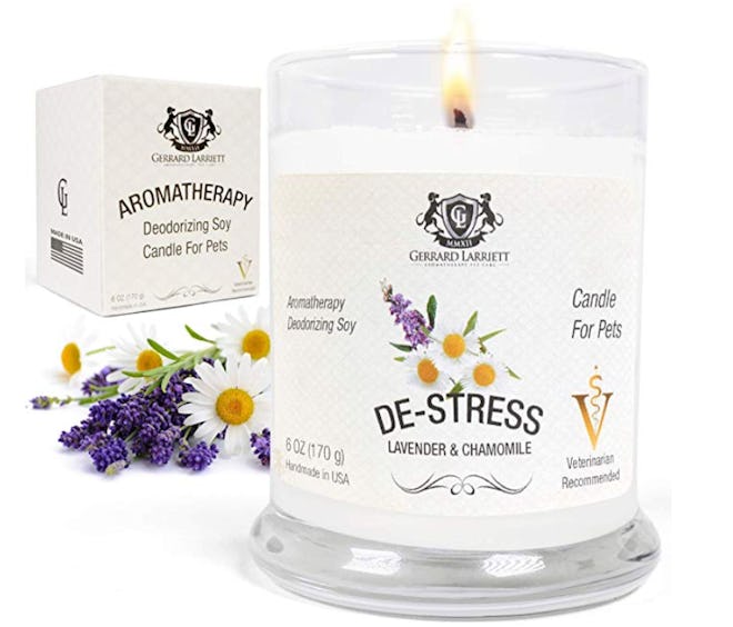 Gerrard Larriett Aromatherapy Pet Care Deodorizing Soy Candle