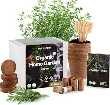 Spade To Fork Indoor Herb Garden Starter Kit