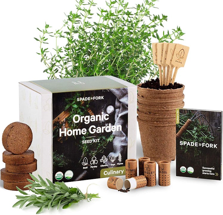 Spade To Fork Indoor Herb Garden Starter Kit