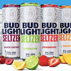 Bud Light Seltzer is hitting shelves in 2020. 