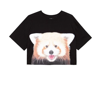 National Geographic Panda T-Shirt