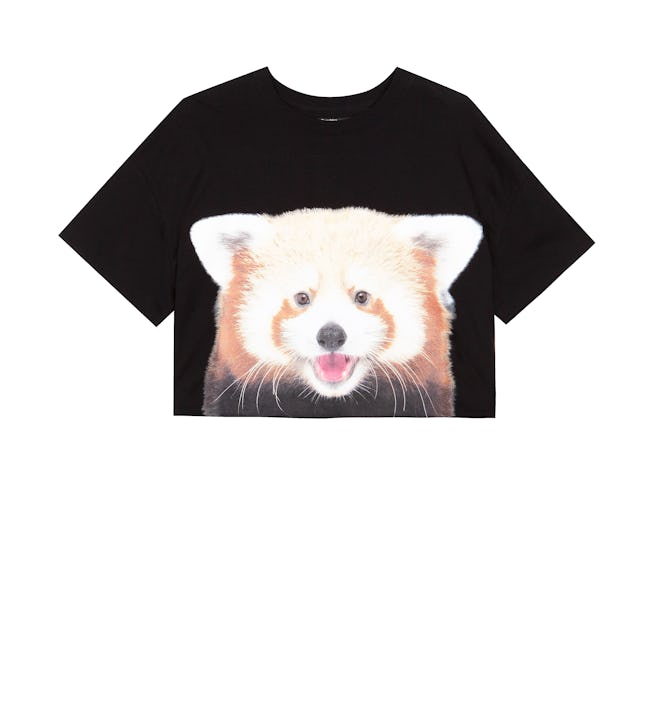 National Geographic Panda T-Shirt
