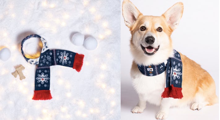 miller lite dog sweater