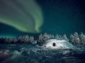 An igloo in the woods at nighttime in Finland has the Northern Lights shining above.