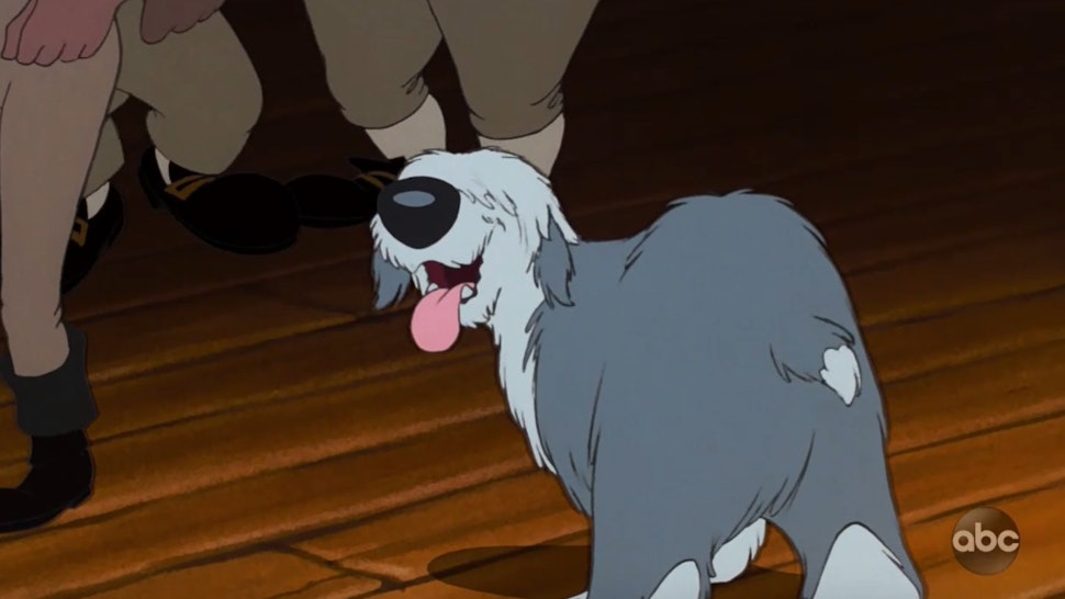 'The Little Mermaid Live!' Dog Looks JUST Like The Animated Version