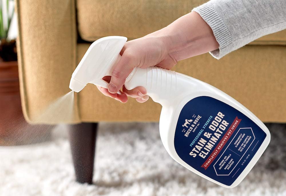 The 10 Best Pet Odor Eliminators