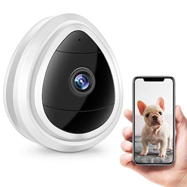 PVCTY Wireless Security Camera