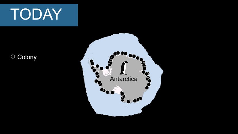 54 known Emperor Penguin colonies around Antarctica (black dots) and sea ice cover (blue color).