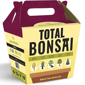 Sproutbrite Bonsai Tree Starter Kit