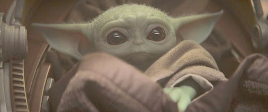 Twitter has discovered a cat that looks like Baby Yoda and, yes, it's adorable. 