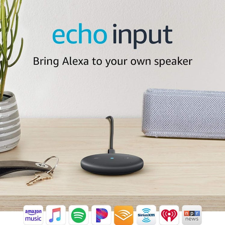 Echo Input