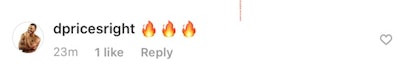 Dom's flames emoji comment on Kate's Nov. 19 Instagram post have been removed