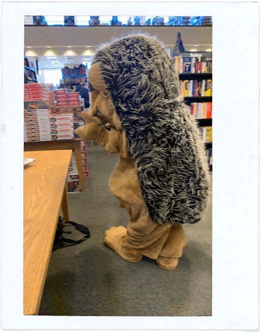 Hedgie hangs out in a Barnes & Noble