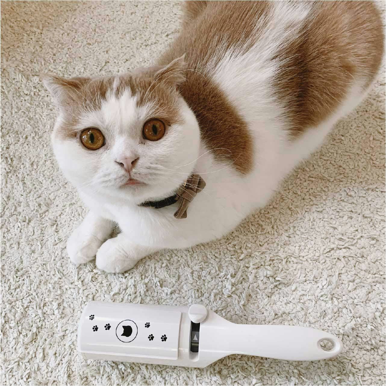The 8 Best Pet Hair Remover Brushes For Clothing Or Furniture