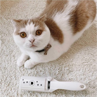 Necoichi Purrfection Neat & Easy Cat Hair Pet Hair Remover