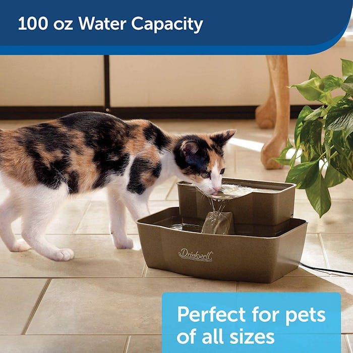 PetSafe Pet Water Fountain