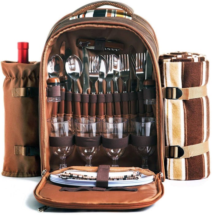 Apollo Walker Picnic Backpack