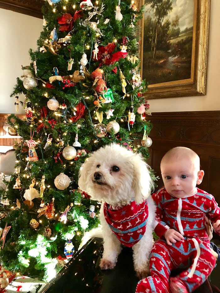 Baby and dog in matching christmas pajamas sit in front of tree