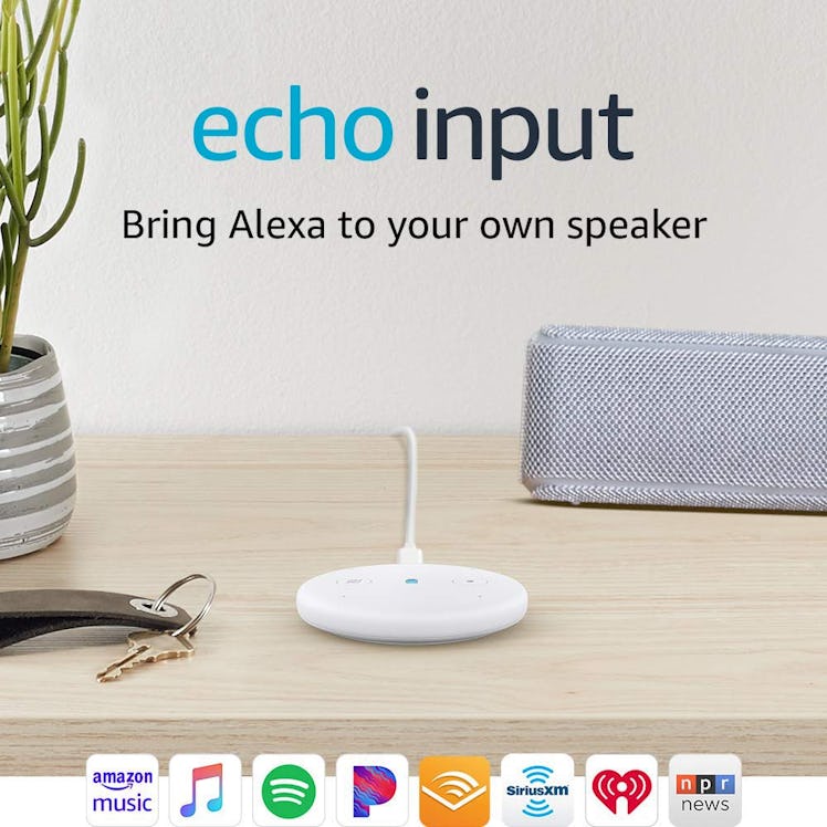 Echo Input 