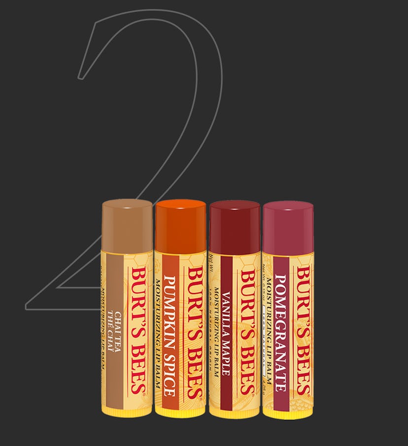 Burt's Bees 100% Moisturizing Lip Balm 4-pack