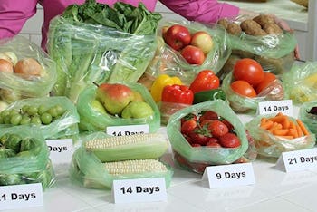 Debbie Meyer GreenBags (20-Pack)