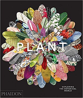 Plant: Exploring the Botanical World