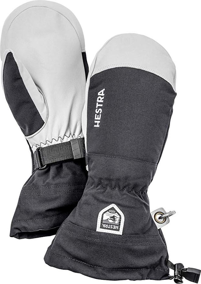 Hestra Ski Gloves