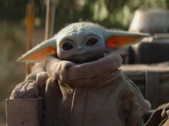 Baby Yoda from 'The Mandalorian' wears a jacket and looks toward his Mando on a sunny day.