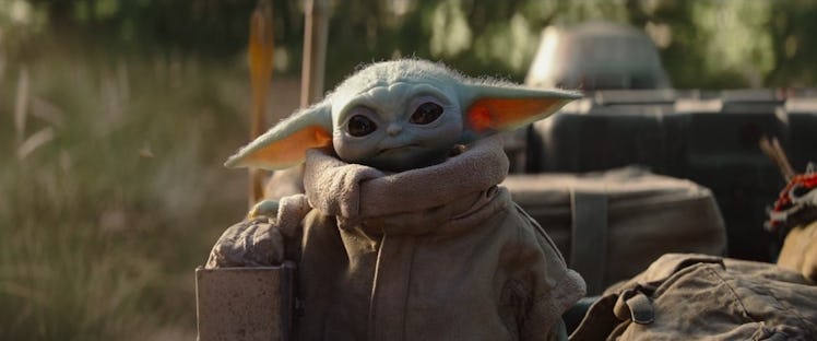 Baby Yoda from 'The Mandalorian' wears a jacket and looks toward his Mando on a sunny day.