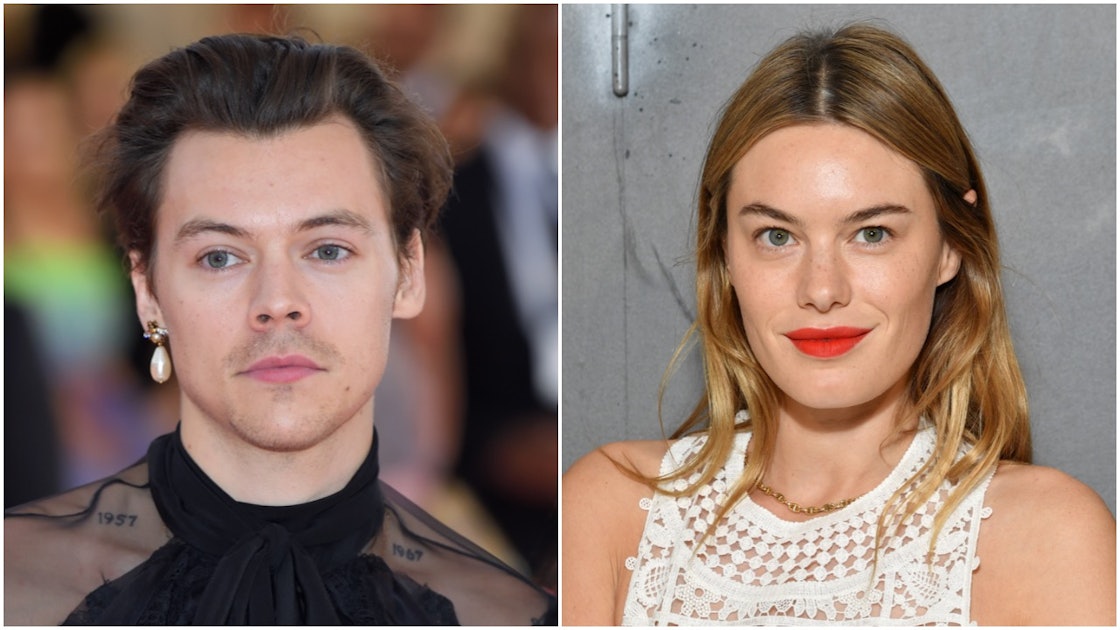 Are Harry Styles & Camille Rowe Still Friends? The Answer Is So Clear