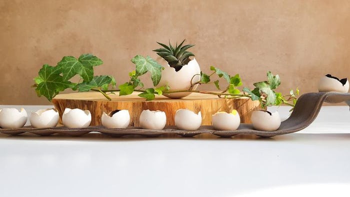 A beautiful ceramic menorah.