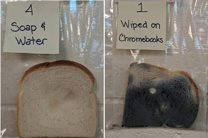 A school science experiment about the importance of hand-washing had some pretty surprising results.