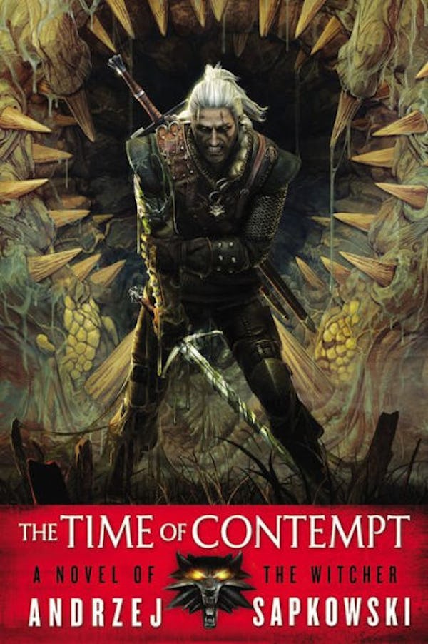 The 'Time of Contempt' cover from 'The Witcher' series