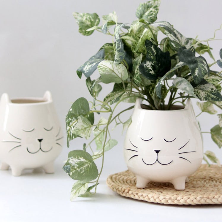 Ceramic Cat Planter For Succulents