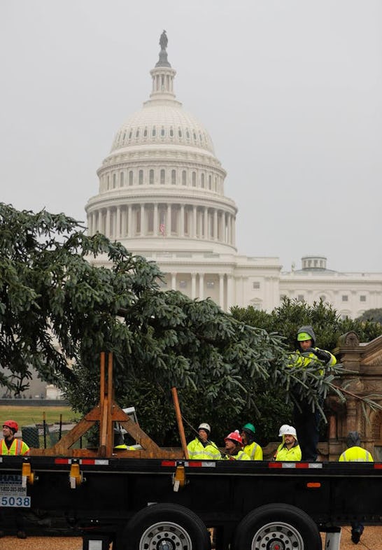 Workers deliver the 2018 U.S. Capitol Christmas Tree to the U.S. Capitol Building, Nov. 26, 2018, fr...