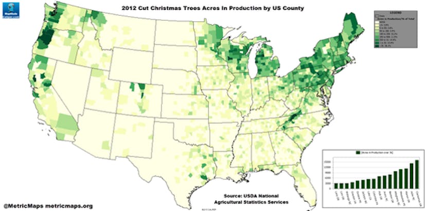 Christmas tree production is concentrated in cooler regions of the U.S.