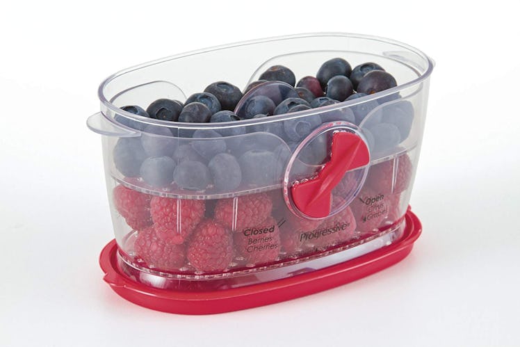 Prepworks by Progressive Berry Keeper