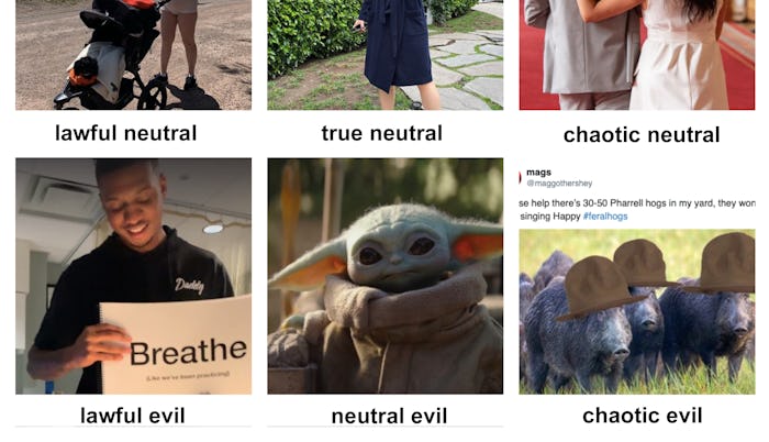 A man reads signs to wife in labor; baby yoda; feral hogs