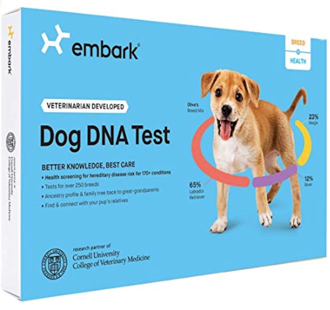 Embark Dog DNA Test: Breed & Health
