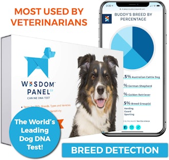 Wisdom Panel 3.0 Canine DNA Test