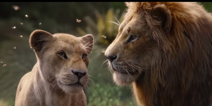 The new "Lion King" movie will be coming to Disney+ in January.