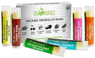 USDA Organic Lip Balm by Sky Organics  (6-Pack)