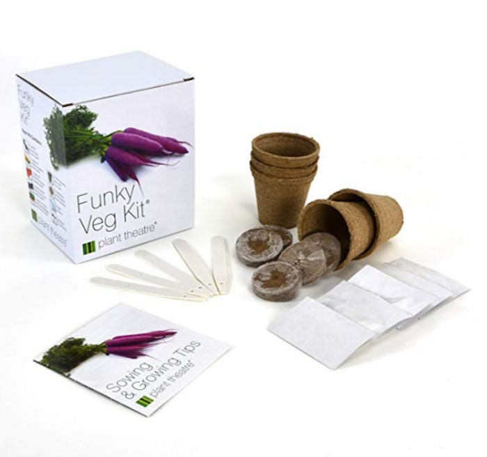 Plant Theatre Funky Veg KIT Gift Box
