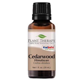 Plant Therapy Cedarwood Himalayan Essential Oil (30 Ml)