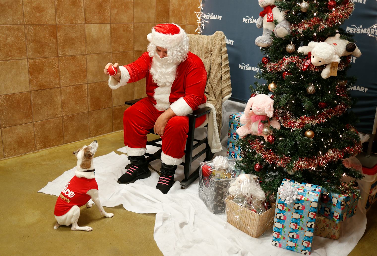 PetSmart's Holiday Events Are Pawsitively Festive For All Your Furry