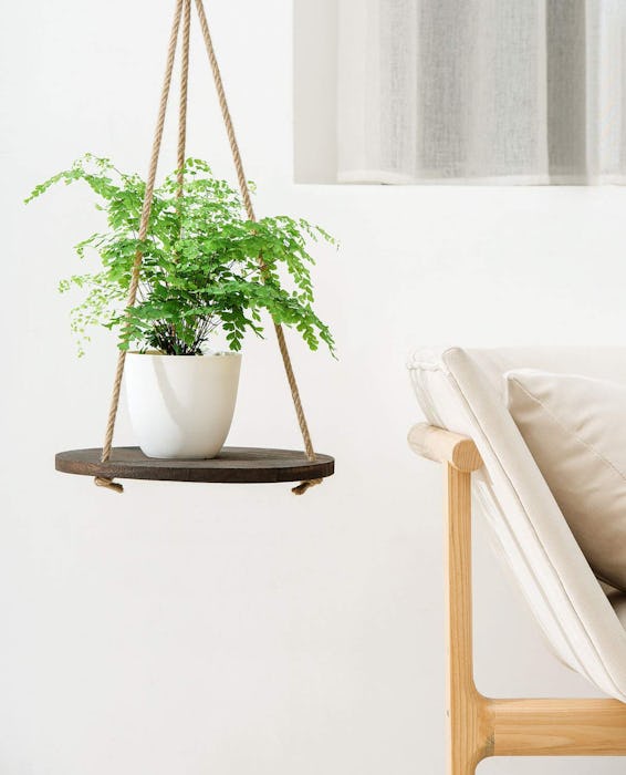 Dahey Hanging Plant Shelf